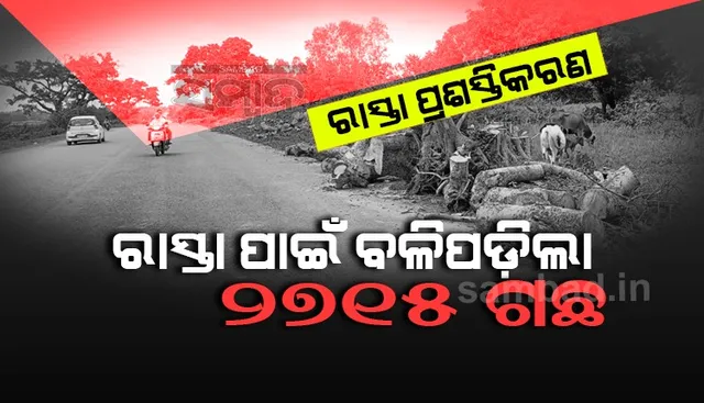 ୪୮ କିଲୋମିଟର ଜାତୀୟ ରାଜପଥ ପ୍ରଶସ୍ତିକରଣ ପାଇଁ କଟାଗଲା ୨୭୧୫ ଗଛ, ନୂଆ ଗଛ ଲାଗିବ କେବେ? 
