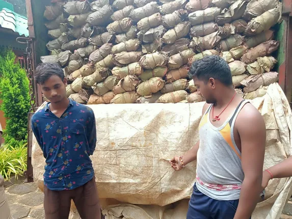 ବନ ବିଭାଗ ଦ୍ଵାରା ୧୨ ଲକ୍ଷରୁ ଊର୍ଦ୍ଧ୍ଵ ଟଙ୍କାର କେନ୍ଦୁପତ୍ର ଜବତ,୨ ଗିରଫ