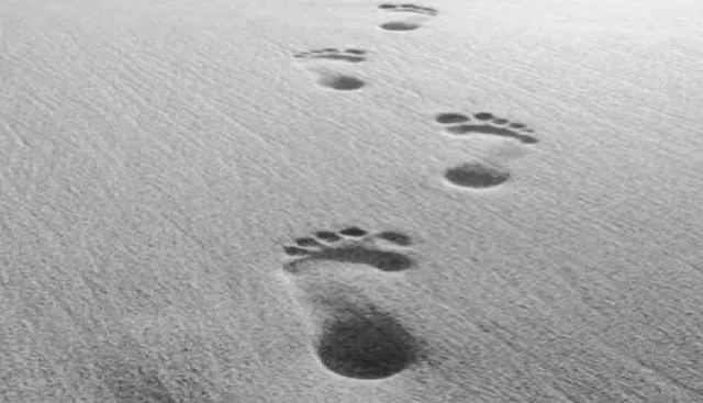 କାହାକୁ ଭୁଲିବି, କାହାକୁ ମନେ ପକେଇବି?