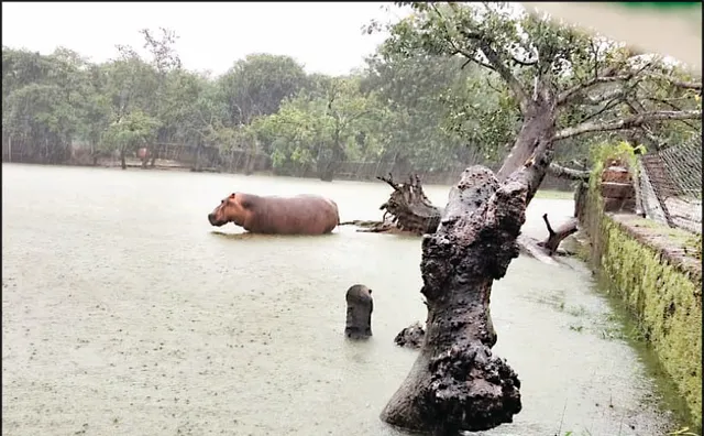 ନନ୍ଦନକାନନରୁ ଉଦ୍ଭିଦ ଉଦ୍ୟାନ ରାସ୍ତା ବୁଡ଼ିଲା