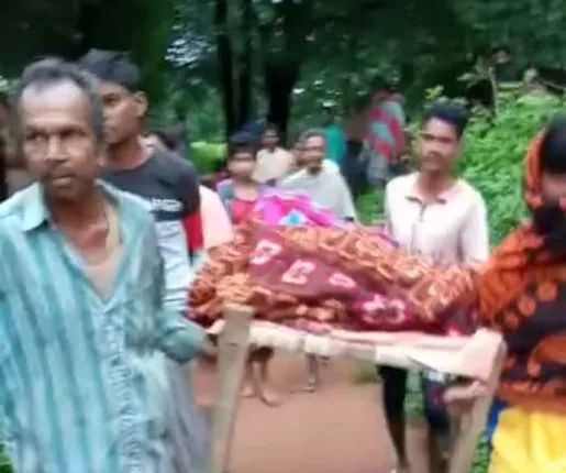 ଭାଲୁ ଆକ୍ରମଣରେ ବୃଦ୍ଧଙ୍କର ମୃତ୍ୟୁ