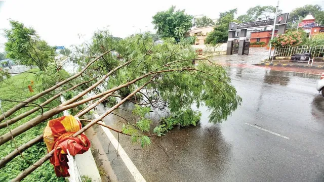 ରାଜଧାନୀକୁ ଇନ୍ଦ୍ରଦେବଙ୍କ କୃପା: ଏ ବର୍ଷ ମୌସୁମୀ ଋତୁରେ ସ୍ବାଭାବିକଠାରୁ ଅଧିକ ବର୍ଷା