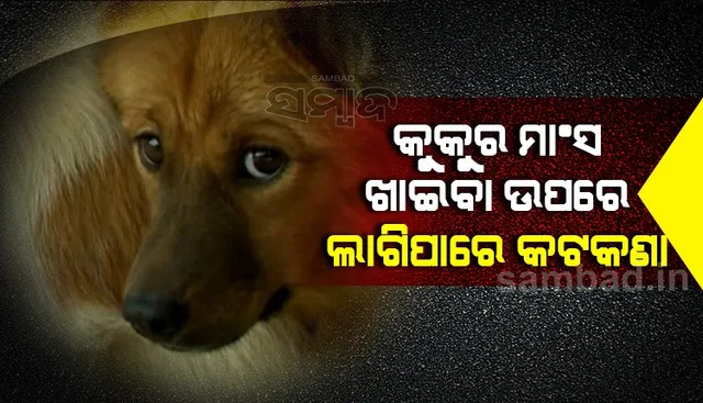 ମାଂସ ପାଇଁ ପ୍ରତିବର୍ଷ ୧୦ ଲକ୍ଷ କୁକୁରଙ୍କର ନିଆଯାଏ ଜୀବନ, କୁକୁର ମାଂସ ଉପରେ ଲାଗିପାରେ ବ୍ୟାନ