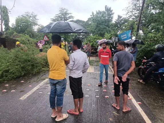 ଲଗାଣ ବର୍ଷା ଯୋଗୁଁ ପୂର୍ତ୍ତରାସ୍ତାରେ ପଡ଼ିଲା ଗଛ 