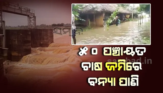 ବଢିଲା ବୈତରଣୀର ଜଳସ୍ତର: ନଦୀକୂଳିଆ ଲୋକେ ଆତଙ୍କିତ