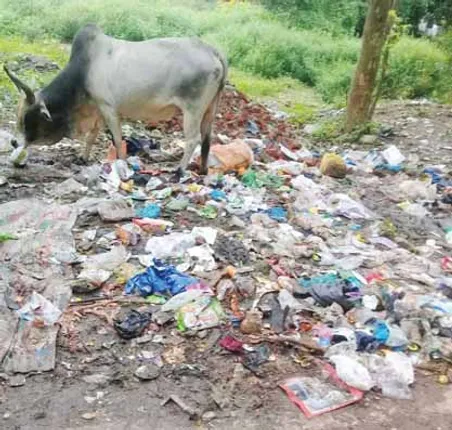 ସିଡିଏ ସେକ୍ଟର-୧୧ରେ ରକ୍ଷଣାବେକ୍ଷଣର ଅଭାବ: ଅଧା ଷ୍ଟ୍ରିଟଲାଇଟ୍ ଅଚଳ, ସ୍ବେରେଜ ବ୍ୟବସ୍ଥା ବିପର୍ଯ୍ୟସ୍ତ