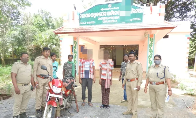 ଆମ୍ବଝରା ଜଙ୍ଗଲରୁ ୨ ବାରହା ଶିକାରୀ ଗିରଫ, ୫ କେଜି ମାଂସ ସହ ଦେଶୀ ବନ୍ଧୁକ ଜବତ 