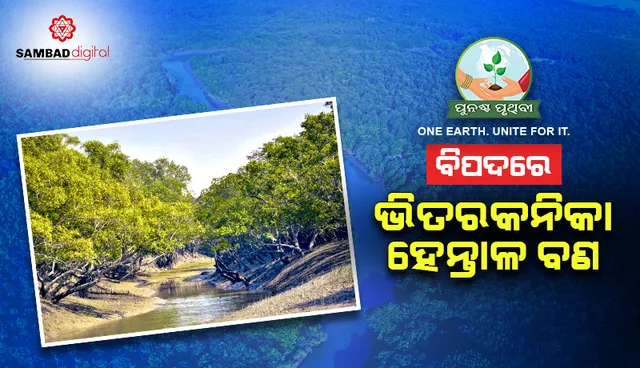 ବିପଦରେ ଭିତରକନିକା ହେନ୍ତାଳ ବଣ, ଜଳର ପରିସଂସ୍ଥାନ ସର୍ଭେ କେବେ?