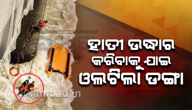 ମୁଣ୍ଡୁଳି ବ୍ୟାରେଜରେ ହାତୀ ଉଦ୍ଧାର ବେଳେ ଅଘଟଣ, ଓଲଟିଲା ଓଡ୍ରାଫର ରବର ଡଙ୍ଗା