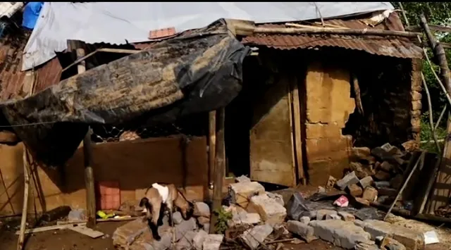 ଘର ଭାଙ୍ଗିଲା ଦନ୍ତା, ଘଉଡ଼ାଇବାକୁ ଯାଇ ନୟାନ୍ତ ହେଲା ବନ ବିଭାଗ