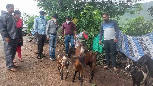 ନାରାୟଣପାଟଣା ଛେଳିକୁ ମିଳିବ ଜାତୀୟ ମାନ୍ୟତା, ତଦାରଖ କରି ଫେରିଲେ ବିଶେଷଜ୍ଞ ଟିମ୍