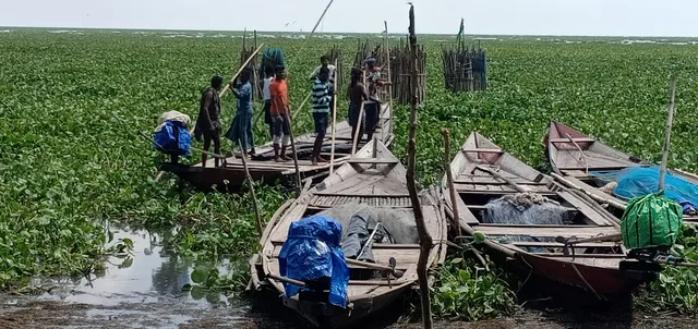 କଲିକତି ଦଳ କବଜାରେ ଚିଲିକା, ଚିନ୍ତାରେ ମତ୍ସ୍ୟଜୀବୀ