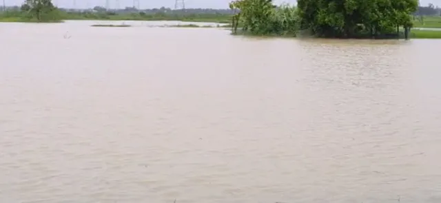 ପ୍ରବଳ ବର୍ଷାକୁ ନେଇ ଚିନ୍ତାରେ ମୟୂରଭଞ୍ଜବାସୀ, ଜିଲ୍ଳାକୁ ୟେଲୋ ୱାର୍ଣ୍ଣିଂ