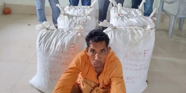 ୧୪୫ କିଲୋ ଗଂଜେଇ ଜବତ, ଜଣେ ଗିରଫ