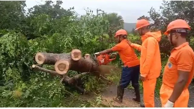 ମାଲକାନଗିରି ଜିଲ୍ଲାରେ ଗୁଲାବ ବାତ୍ୟାର ପ୍ରଭାବ, ୭ଟି ଜିଲ୍ଲା ପ୍ରଭାବିତ