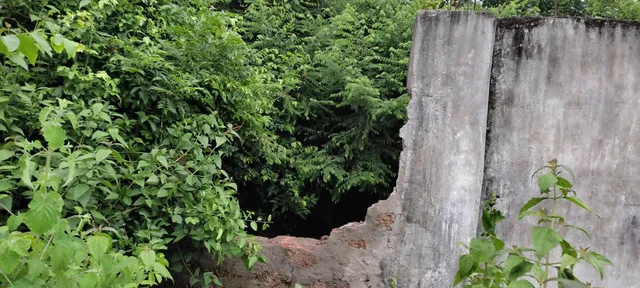 ପାଚେରି ଭାଙ୍ଗି ନନ୍ଦନକାନନରେ ପଶିଲେ ୨ ବଣୁଆ ହାତୀ