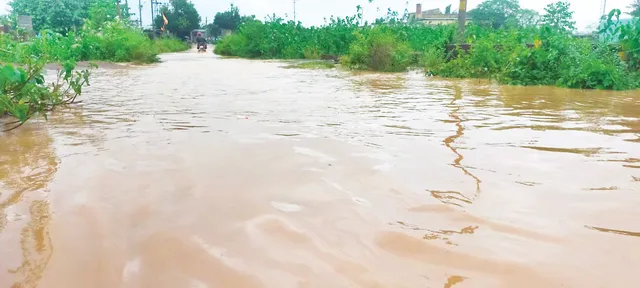 ପଣ୍ଡାକୁଦିଆରେ ଭାସିଗଲେ ମହିଳା, ମରଣମୁହଁରୁ ଟାଣି ଆଣିଲେ ଯୁବକ