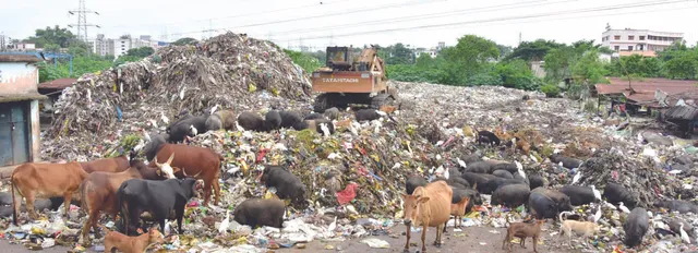 ତୁରନ୍ତ ହଟାଅ ସତୀଚୌରା ଡମ୍ପିଂୟାର୍ଡ, ଲୋକଙ୍କ ଚେତାବନୀ: ଅସହ୍ୟ ହେଲାଣି, ଆଉ ନୁହଁ