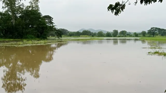 ଲଗାଣ ବର୍ଷା ଯୋଗୁଁ ୨୦ ଜିଲ୍ଲାର ୨୦ ଲକ୍ଷ ଲୋକ ପ୍ରଭାବିତ, ୪ ମୃତ