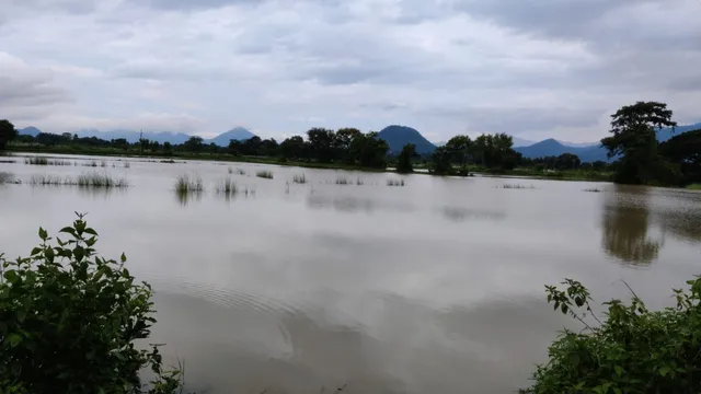 ଛାଡିଲା ବର୍ଷା ହେଲେ ଛିଣ୍ଡୁନି ପାଣି ; ଚାଷ ଜମି ଜଳମଗ୍ନ 