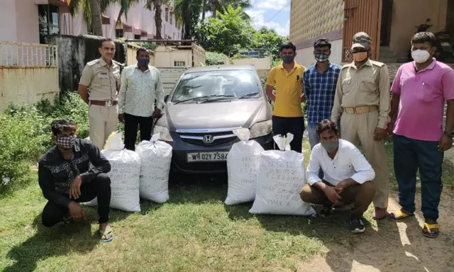 ରାଜ୍ୟ ଫ୍ଲାଇଂ ସ୍କ୍ଵାର୍ଡର ବଡ଼ ଚଢ଼ାଉ; ରାଜପଥରୁ ୧୦ ଲକ୍ଷ ଟଙ୍କାର ଗଞ୍ଜେଇ ଜବତ, ଦୁଇ ମାଫିଆ ଗିରଫ