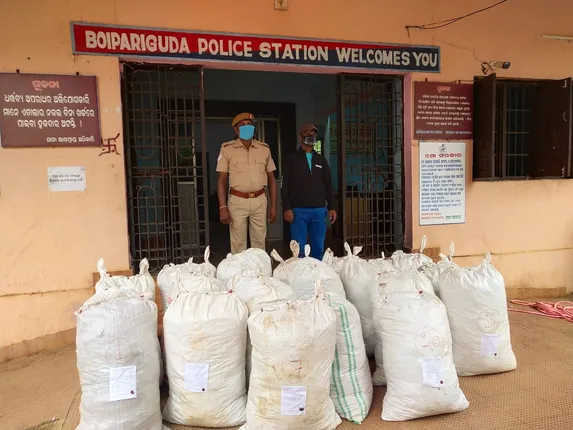 ୫୧୪ କିଲୋ ଗଂଜେଇ ଜବତ, ଅଭିଯୁକ୍ତ ଫେରାର