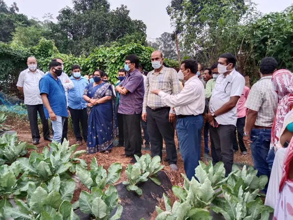 ନିପାଣିଆରେ କୃଷିକ୍ଷେତ୍ର ପରିଦର୍ଶନ କଲେ ଖାଦ୍ୟ ଆୟୋଗ ଅଧ୍ୟକ୍ଷ