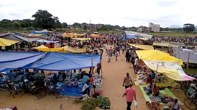 ନୂଆଖାଇ ପାଇଁ ଚଳଚଞ୍ଚଳ ବୀରମହାରାଜପୁର, ମରୁଡି ଯୋଗୁଁ ଚାଷୀଙ୍କ ମଧ୍ୟରେ ନାହିଁ ଉତ୍ସାହ