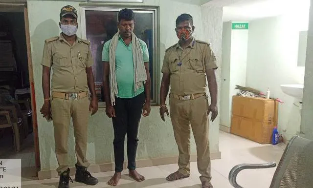 କୁଟୁରା ମାଂସ ଜବତ, ଜଣେ ଗିରଫ; ପିମ୍ପୁଡ଼ି ଧରାପଡ଼ୁଛି, ହାତୀ ଗଳିଯାଉଛନ୍ତି