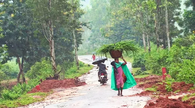 କୋରାପୁଟ: ଦିନକରେ ୨୧୪ ମିମି ବର୍ଷା ରେକର୍ଡ, ଲମତାପୁଟ-ସେମିଳିଗୁଡ଼ା ବେହାଲ