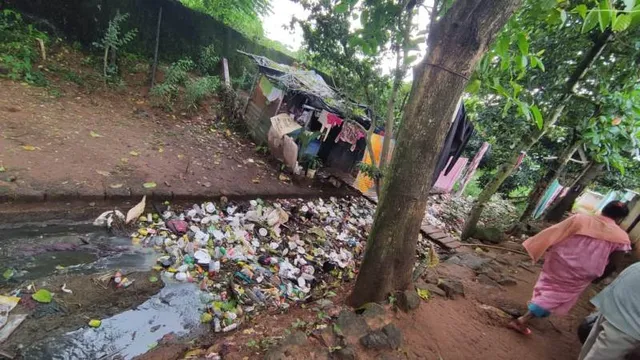 ସଂକୁଚିତ ହେଉଛି ଚନ୍ଦକା ଅଭୟାରଣ୍ୟ: ଜବରଦଖଲରେ ୨୨ହେକ୍ଟର ଜଙ୍ଗଲ ଜମି