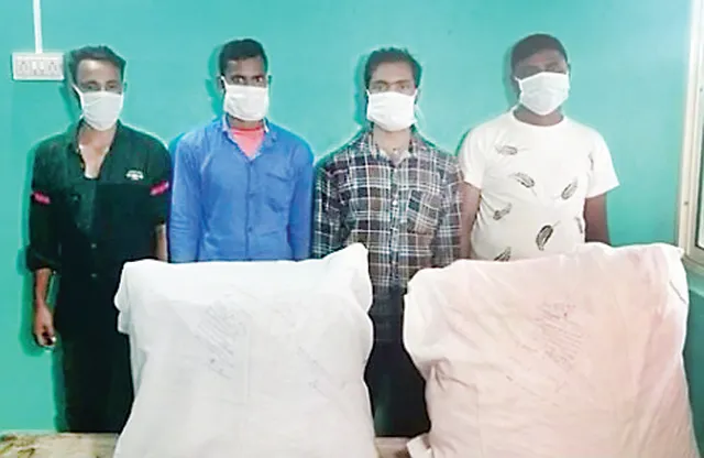 ୫୦କେଜି ଗଞ୍ଜେଇ ଜବତ, ୪ ଅନ୍ତଃରାଜ୍ୟ ବେପାରୀ ଗିରଫ