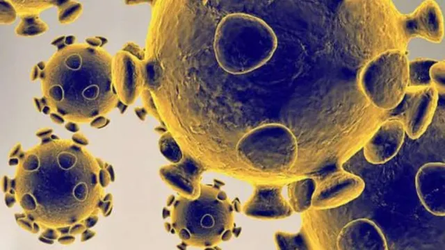 ସେପ୍ଟେମ୍ବର ମାସରେ ରାଜ୍ୟରେ ୧୦,୮୨୮ ଆକ୍ରାନ୍ତ ଚିହ୍ନଟ, ୧୭୪ ମୃତ