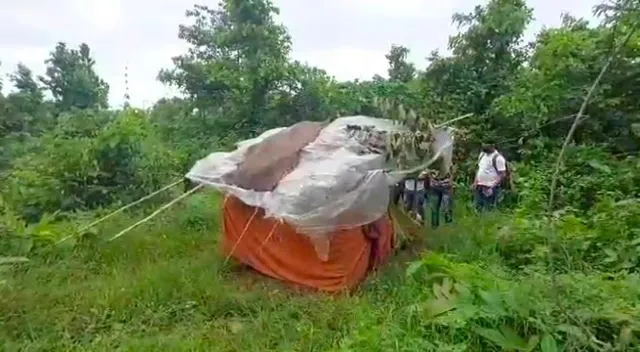 ଜନନୀ ହେଲା ଆଲୋଡ଼ା, ଚିକିତ୍ସା ବଦଳରେ ଜଂଗଲରେ ଛାଡ଼ି ଦେଲେ