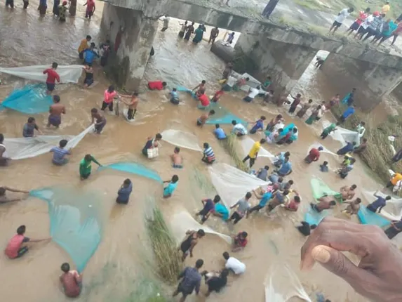 ଲିଙ୍ଗରା ନଦୀରେ ବ୍ୟବହାର‌ ହେଉଛି ସରକାର ଦେଇଥିବା ମଶାରି। (ଫଟୋ: ବିକାଶ, ଅନୁଗୁଳ)