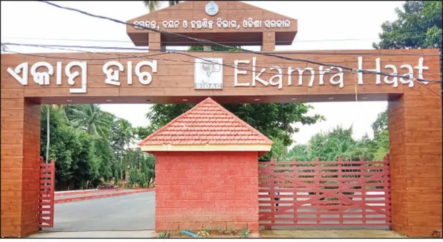 ଚୂଡ଼ା‌ନ୍ତ ପର୍ଯ୍ୟାୟରେ ପ୍ରସ୍ତୁତି: ଗାନ୍ଧୀ ଜୟନ୍ତୀରେ ପୁନଃଲୋକାର୍ପିତ ହେବ ଏକାମ୍ର ହାଟ