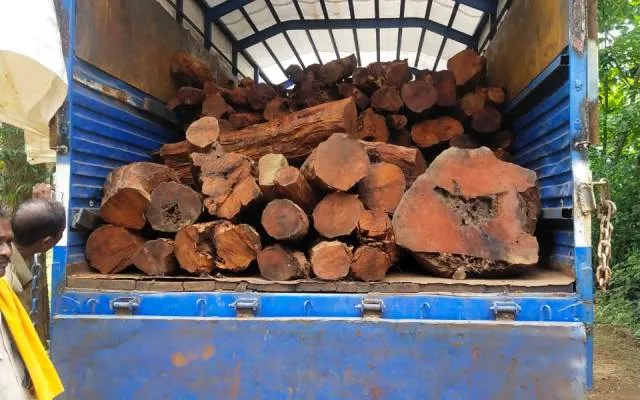 ମୂଲ୍ୟବାନ କାଠ ବୋଝେଇ ମିନିଟ୍ରକ୍‌ ଜବତ, କାଠ ମାଫିଆ ଓ ଚାଳକ ଫେରାର