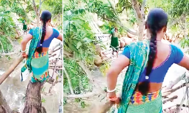 ବରଗଛ ଶାଖା ପାଲଟିଛି ଝୁଲାପୋଲ; ତଳେ ବନ୍ୟାଜଳ, ଉପରେ ବିପଦସଙ୍କୁଳ ଯାତ୍ରା