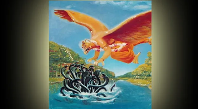 ଗରୁଡ଼-କାଳୀୟ କାହାଣୀ