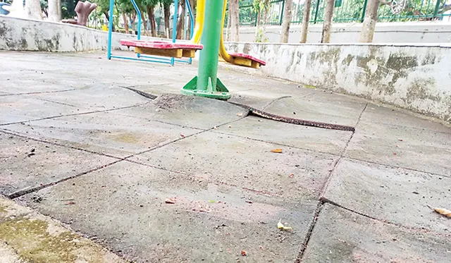 ଉଜୁଡ଼ିଗଲାଣି ସହିଦନଗର ଓଏମ୍‌ସି ପାର୍କ, ଅସନ୍ତୋଷ ପ୍ରକାଶ କଲେ ବରିଷ୍ଠ ନାଗରିକ