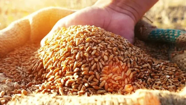 ରବି ଫସଲ ସହାୟକ ମୂଲ୍ୟ ବଢ଼ିଲା