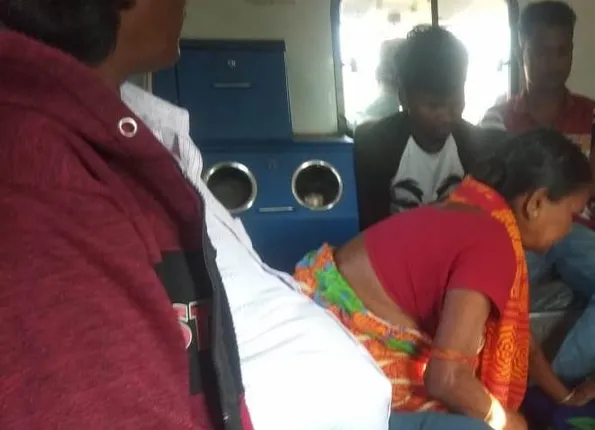 ହାତୀ ଆକ୍ରମଣରେ ଯୁବତୀ ଗୁରୁତର