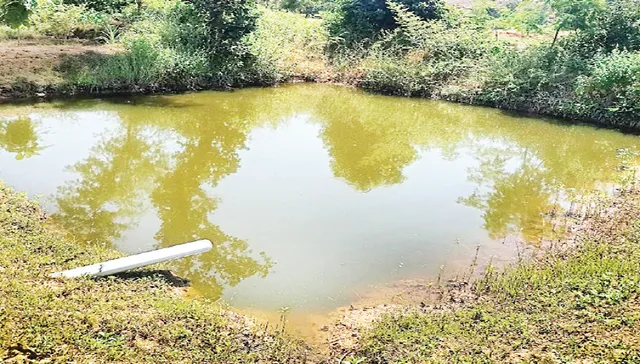 ଓଡ଼ିଶାରେ ବୁନ୍ଦେଲଖଣ୍ଡ ଢାଞ୍ଚାରେ ‘କ୍ଷେତ ପୋଖରୀ’ ଯୋଜନା ପାଇଁ ସୁପାରିସ୍‌