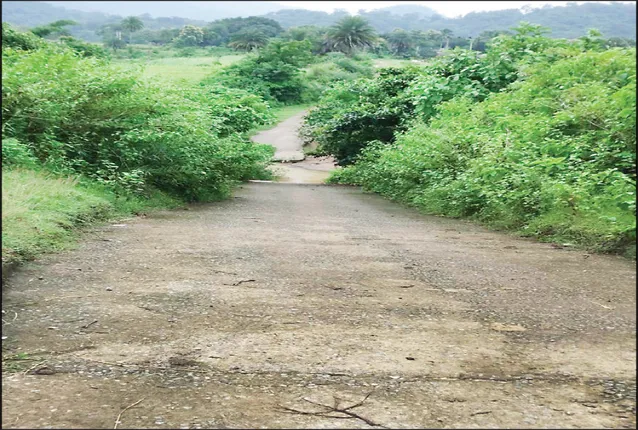 ଅପହଞ୍ଚ ଶିକ୍ଷା, ସ୍ବାସ୍ଥ୍ୟ, ପାନୀୟ ଜଳ: ଯାତାୟାତରେ ବାଧକ କଳସା ନାଳ