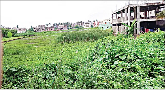 ଦଲାଲ ଝାମ୍ପି ନେଉଛନ୍ତି ଭିଟାମାଟି: ଜମି ମାଲିକ ବାରଦୁଆର, ସରକାରୀ ଅଧିକାରୀ-ଦଲାଲ ମଧୁଚନ୍ଦ୍ରିକା