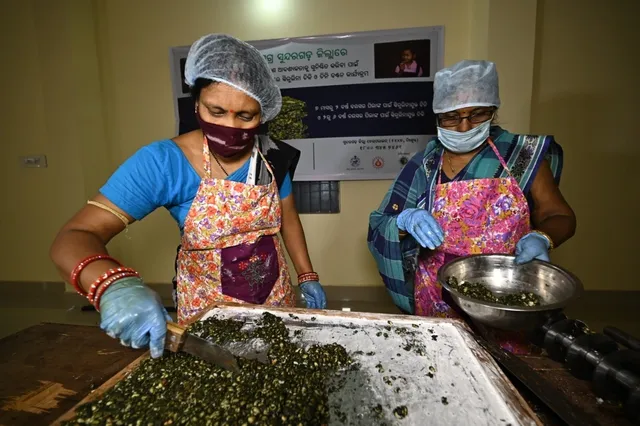 ରାଉରକେଲାରେ ସ୍ଥାପନ ହେବ ସ୍ପିରୁଲିନା ଚିକି ପ୍ରସ୍ତୁତି ୟୁନିଟ୍