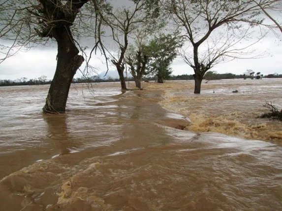 ଫାଇଲିନ୍‌ର ୮ ବର୍ଷ ପୂର୍ତ୍ତି: ଶୁଖିନି ତିତିଲି ଛୁଆଁ, ଦୁର୍ଗାପୂଜା ଆସିଲେ ମନେପଡେ ପ୍ରଳୟର କାଳରାତ୍ରି