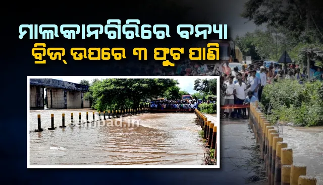 ମାଲକାନଗିରିରେ ପ୍ରବଳ ବର୍ଷା, ଏମଭି-୭ ବ୍ରିଜ ଉପରେ ତିନି ଫୁଟ୍‌ ପାଣି ପ୍ରବାହିତ