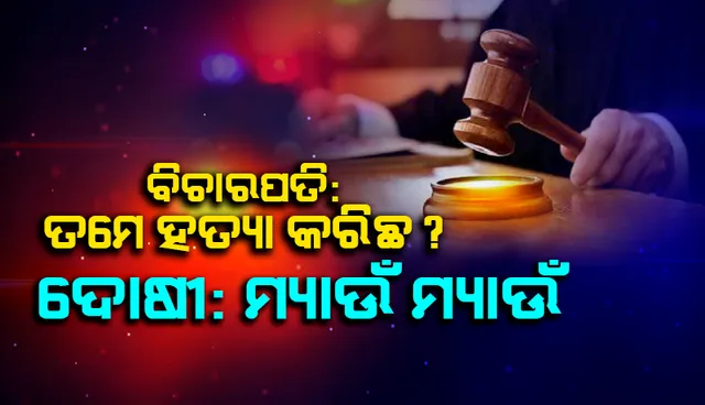 ବିଚାରପତିଙ୍କ ସବୁ ପ୍ରଶ୍ନର ଉତ୍ତର 'ମ୍ୟାଉଁ ମ୍ୟାଉଁ' ବୋଲି କହିଲା ଅପରାଧୀ!
