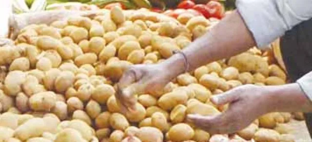 ପୁଣି ବଢ଼ିଲା ଆଳୁ ଦର; କିଲୋ ୨୫, ଧଡ଼ା ୭୦ ଟଙ୍କା